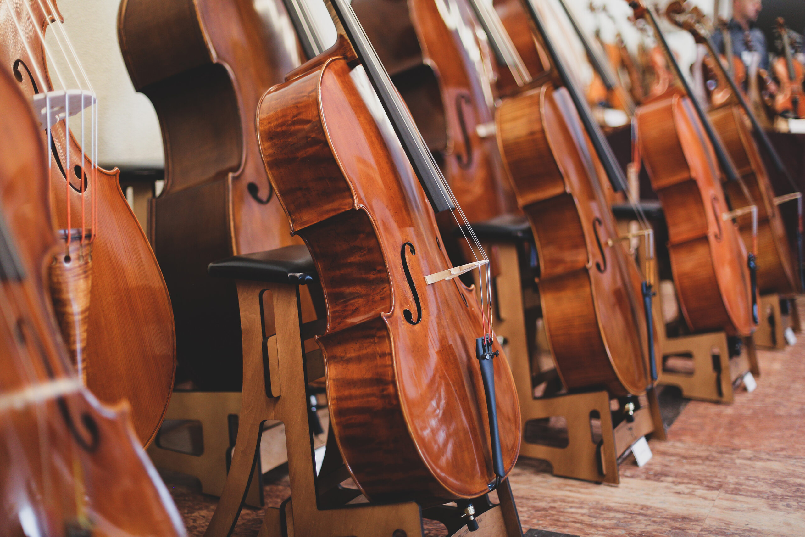 Details with parts of violins before a symphonic classical conce