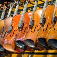 Sting Instruments for sale